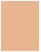 Image du produit Collistar Impeccable (10N Ivory)