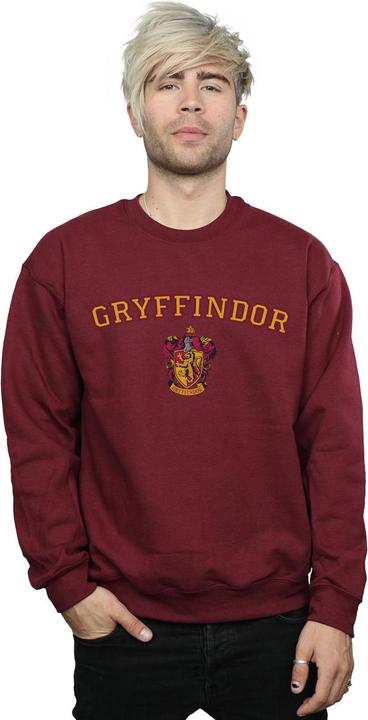 Actual product image Mens Gryffindor Crest Sweatshirt (M)