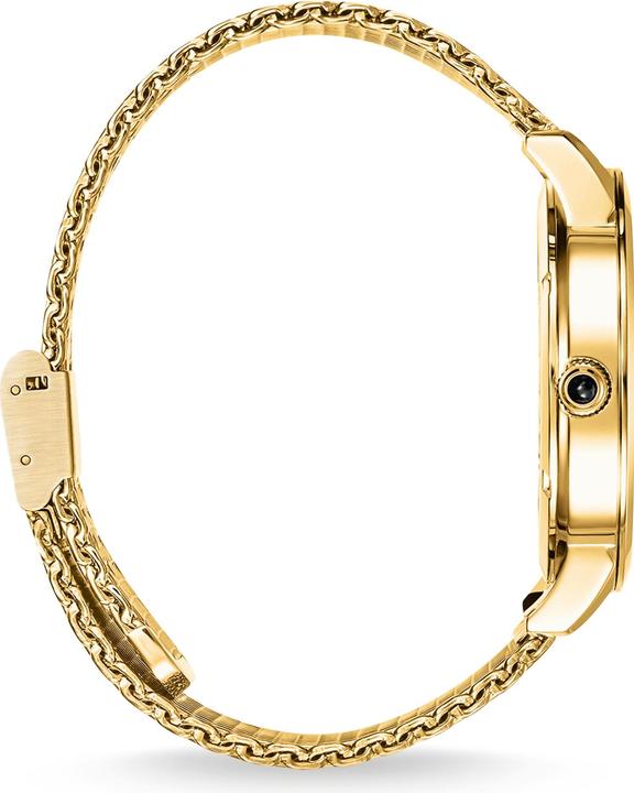Actual product image Thomas Sabo Elements of Nature Gold (Analogue wristwatch, 42 mm)