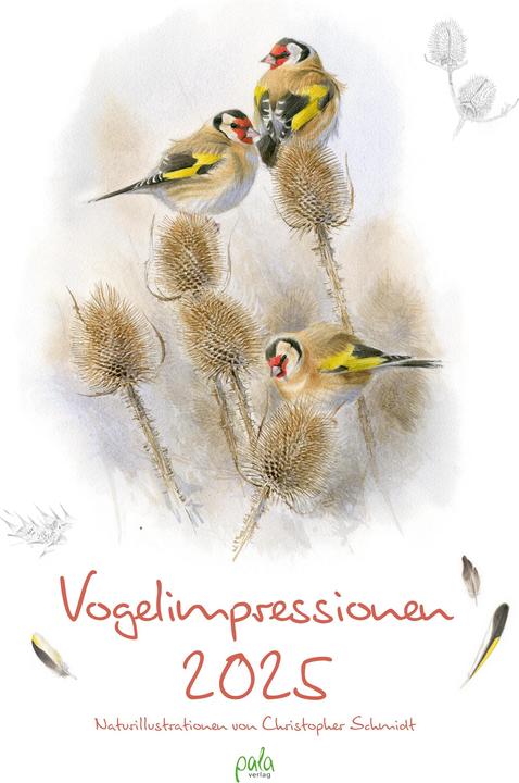 Produktbild Vogelimpressionen 2025 (Harter Einband, Deutsch)