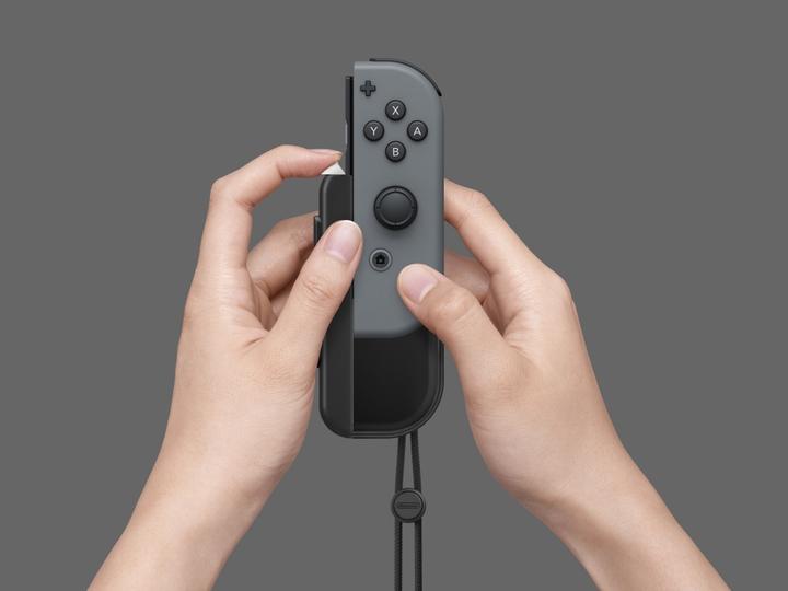 Productafbeelding Nintendo Joy-Con AA Batterij Accessoires Set van 2 (Switch)