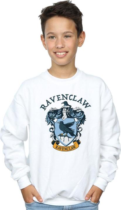 Produktbild Sweatshirt Jungen (128)