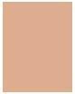 Actual product image L'Oréal Paris Infallible 24H Fresh Wear (260 Golden Sun)