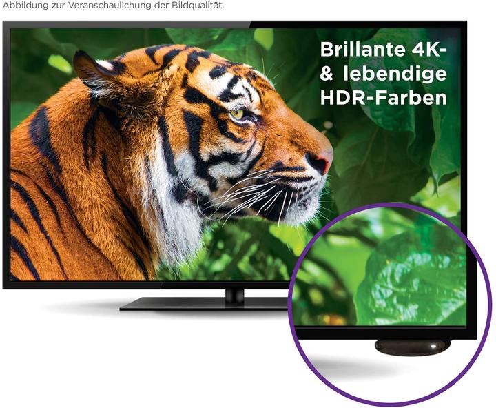 Actual product image Roku Express 4K