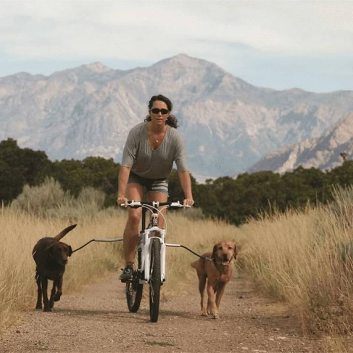 Image du produit Pet Ego Vincenzo (Chien, Vélo)