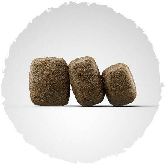 Image du produit Josera SensiAdult (Adulte, 1 pcs, 12500 g)