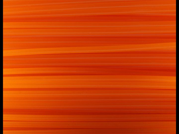 Actual product image FlashForge Filament (PLA, 1.75 mm, 500 g, Orange)
