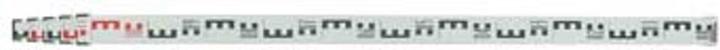 Nestle Telescopic levelling meter, 1.24 - 5.00 m (5000 mm)