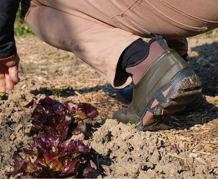 Produktbild Rouchette Clean Land (47)