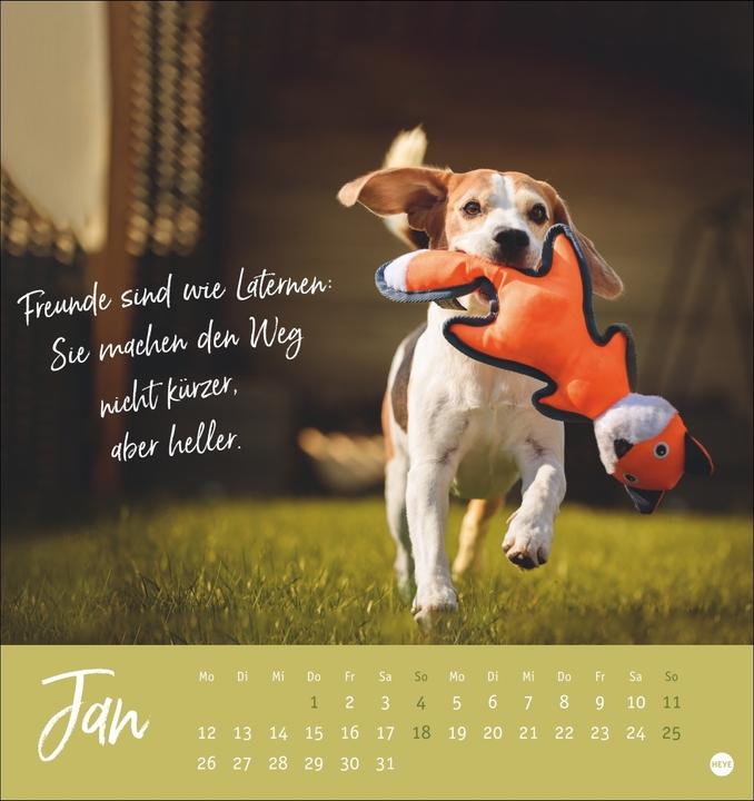 Image du produit Ziemlich beste Freunde Postkartenkalender 2026 - Für immer dein (Couverture rigide, Allemand)