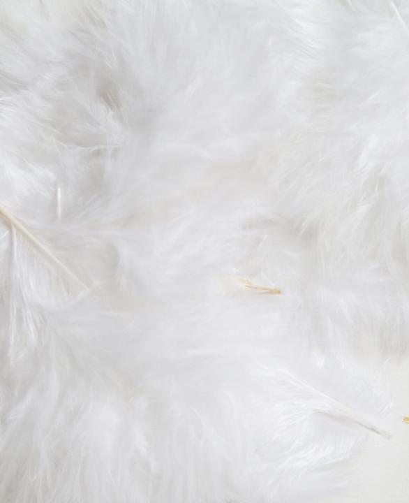 Image du produit I Am Creative Plumes décoratives