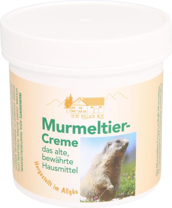 Produktbild Axisis Pullach Hof Murmeltier Creme, 250 ml Creme (Körpercreme, 250 ml)