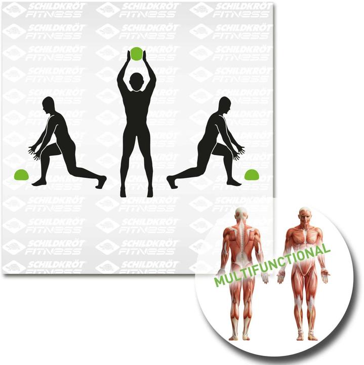 Immagine prodotto Schildkröt Slamball 3 kg (3 kg, 235 mm)