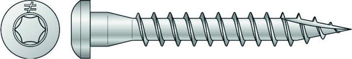 Actual product image Simpson Sst Screws (200 pcs.)