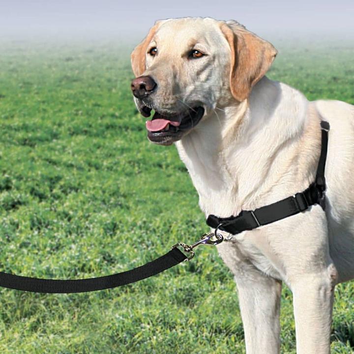 Immagine prodotto PetSafe Easy Walk (L, Cane, Passeggiare)