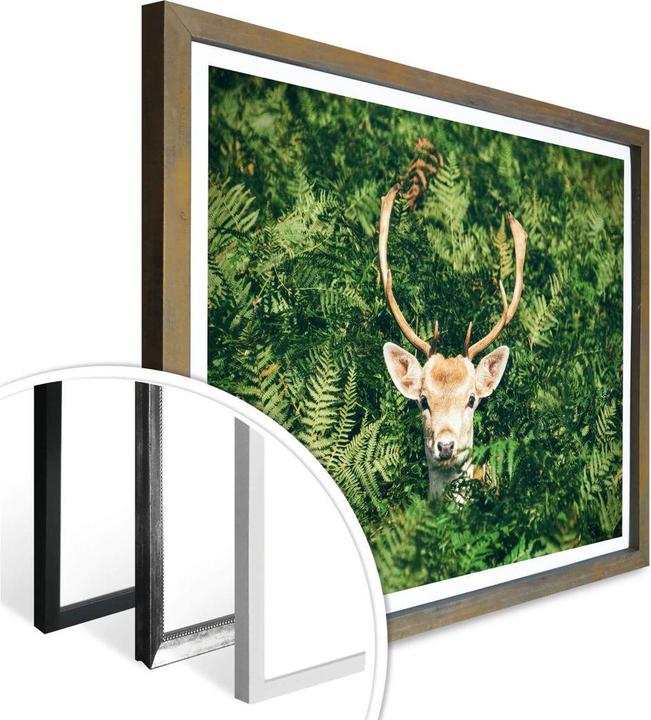 Actual product image Trenddeko Hide and seek in the forest (50 x 40 cm)