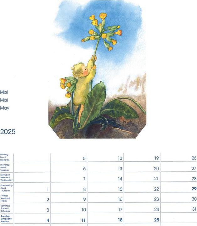 Produktbild Cosa Bildkalender Mili Weber (23 x 27 cm, Harter Einband, Deutsch, Französisch, Italienisch, Englisch)