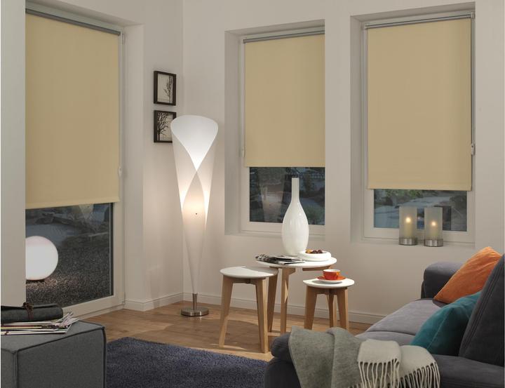 Actual product image Gardinia Thermo roller blind (75 x 150 cm)