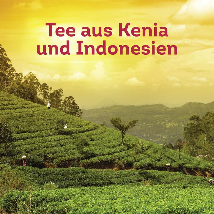 Image du produit Lipton Sachets de thé (1.80 g)