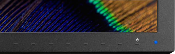 Actual product image NEC PA311D (4096 x 2160 pixels, 31")