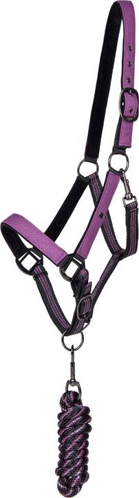 Image du produit Qhp ensemble licol et longe pour cheval
