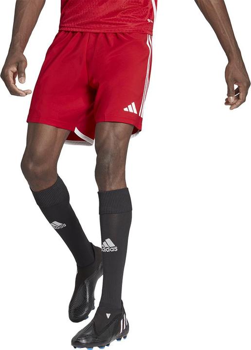 Actual product image adidas Tiro 23 Competition Match training shorts men (XS)