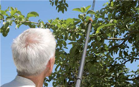Image du produit Gardena Comfort Coupe-branches télescopique StarCut 410 BL