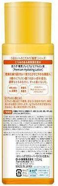 Produktbild Hada Labo Gokujyun Premium Hyaluronic-Lotion (170 ml, 24h Creme)