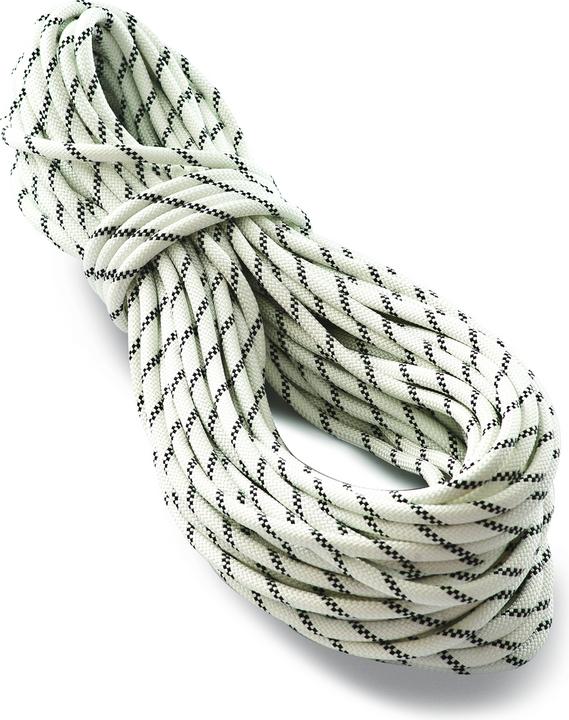 Actual product image Tendon PRO WORK 11 static rope (50 m)