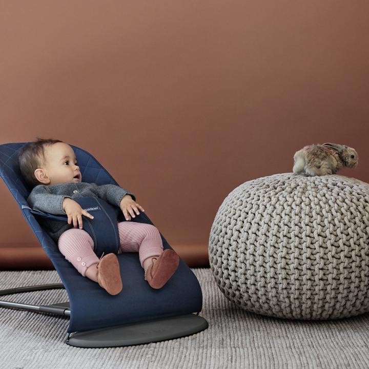 Image du produit BabyBjörn Bliss