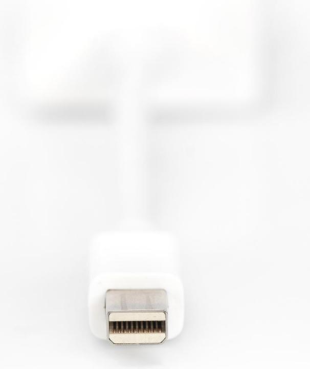 Actual product image Digitus DisplayPort adapter cable, mini DP - HD15 St/Bu DP, CE, white (Mini DP, 15 cm)