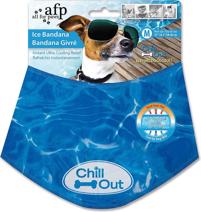 Vêtements pour chien