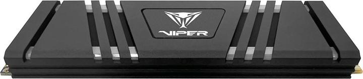 Actual product image Patriot VPR400 (1000 GB, M.2 2280)