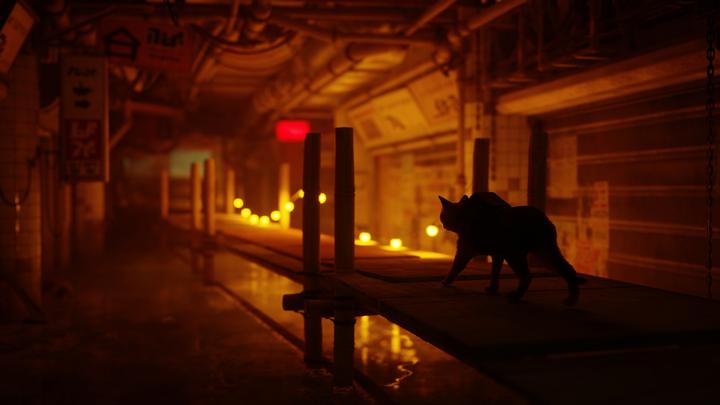 Actual product image Annapurna Interactive Stray (PS5, EN)
