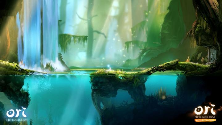 Immagine prodotto Skybound Ori - La collezione (Switch, Switch Lite, Switch OLED, DE)