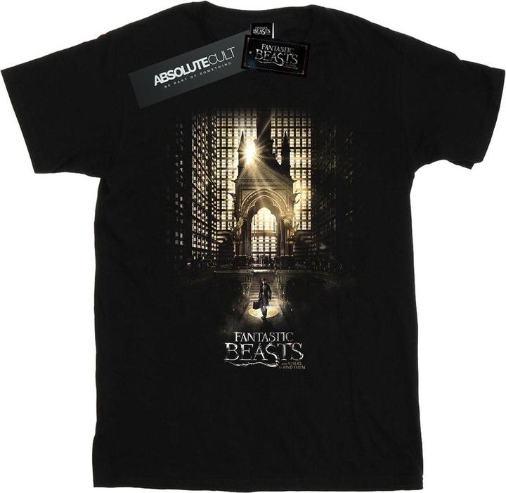 Fantastic Beasts Movie Poster TShirt (3XL)