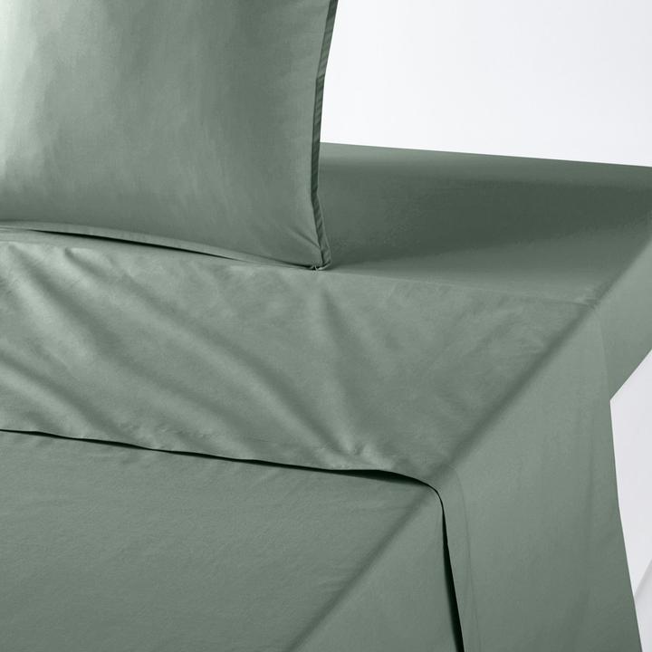 Actual product image La Redoute Interieurs Percale Bio (240 x 290 cm)