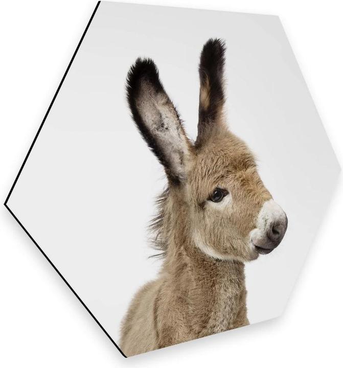 Actual product image Trenddeko Baby donkey (75 x 65 cm)