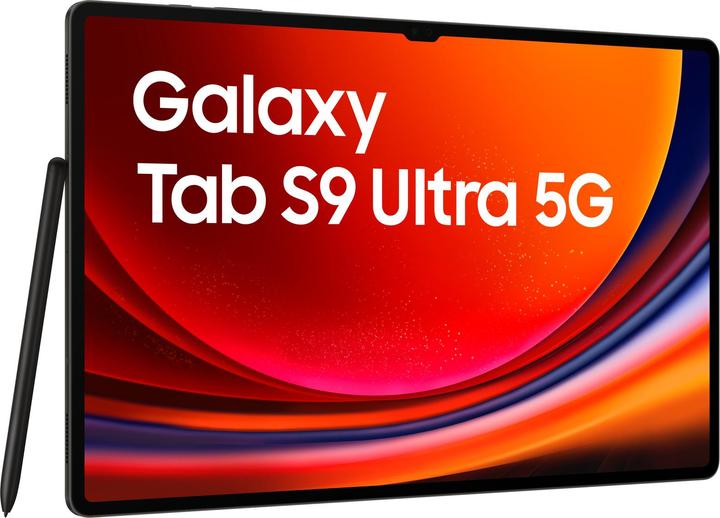 Actual product image Samsung Galaxy Tab S9 Ultra (5G, 14.60", 512 GB, Graphite grey)