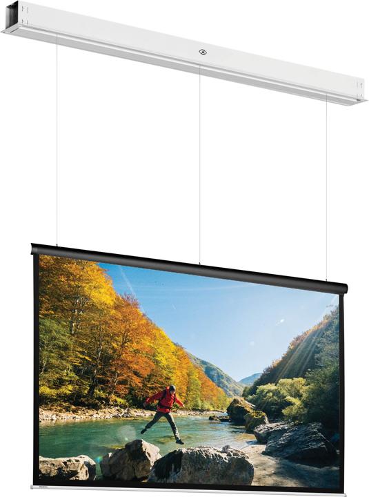 Actual product image Projecta DescenderPro (93.70", 4:3)