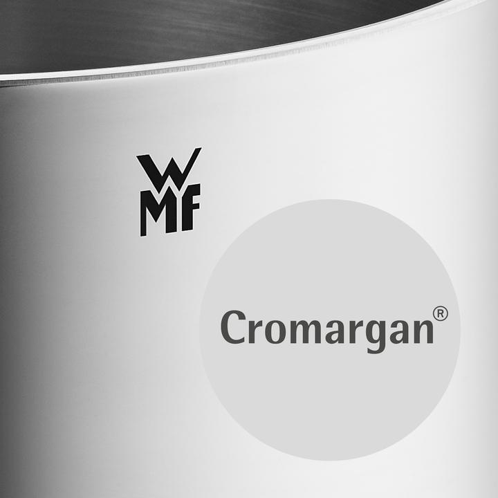 Productafbeelding WMF Asperge Pot Kookpot Inductie Hoog 16cm Pot met Glazen Deksel 5.0l Roestvrij Staal (16 cm, Steelpan, Roestvrij staal)