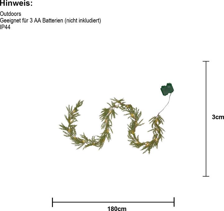 Produktbild Star Trading Thuja
