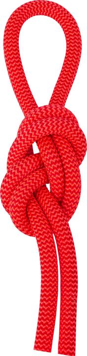 Salewa Red 9.6 climbing rope (80 m)