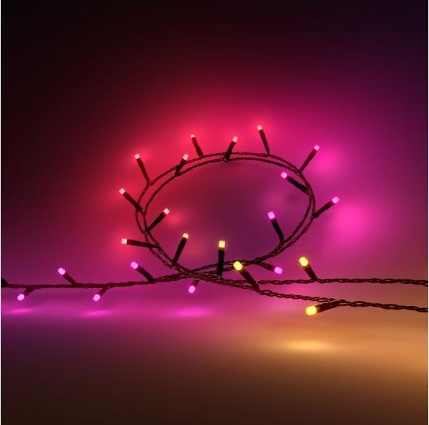 Actual product image Philips Hue Festavia (EU plug) (40 m)