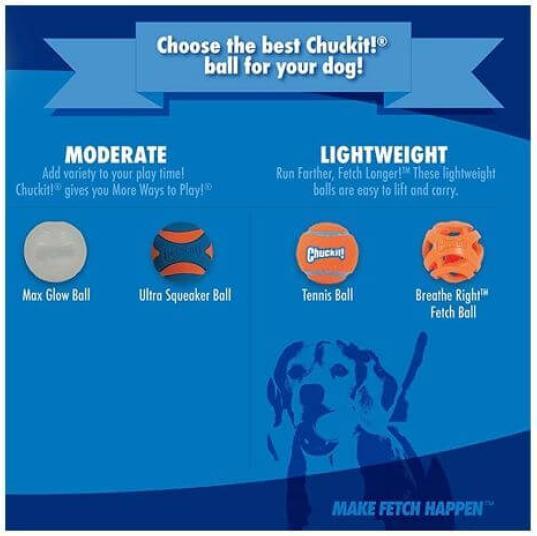 Actual product image Chuckit! ChuckIt Ball 2 rubber balls (Dog chew toy)