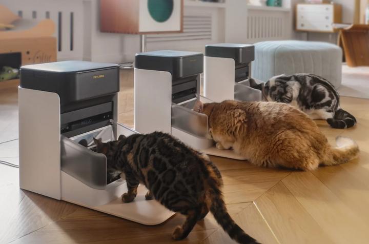 Image du produit Petlibro One RFID Pet Feeder (3 l)
