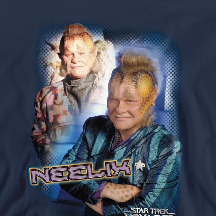Produktbild Sweatshirt (L)