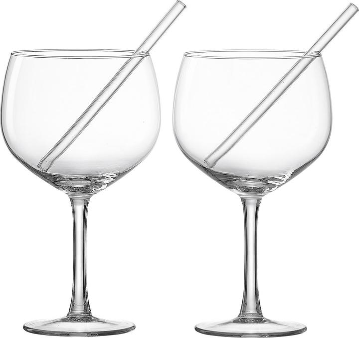 Productafbeelding Ritzenhoff & Breker Gingglas met rietjes set van 2 (6.50 dl, 4 x, Gin glazen)
