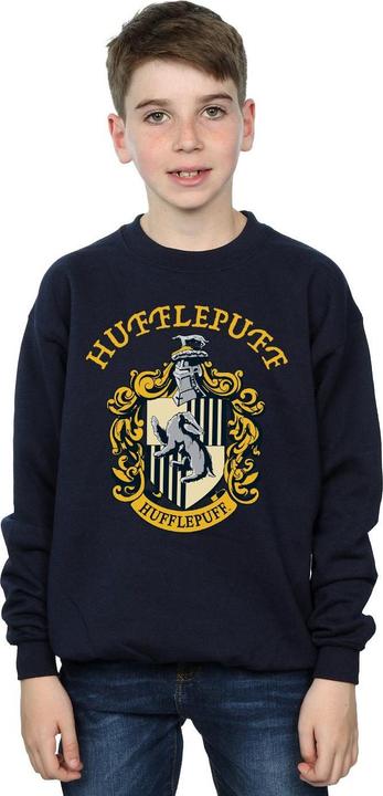 Actual product image Sweatshirt boys (116)