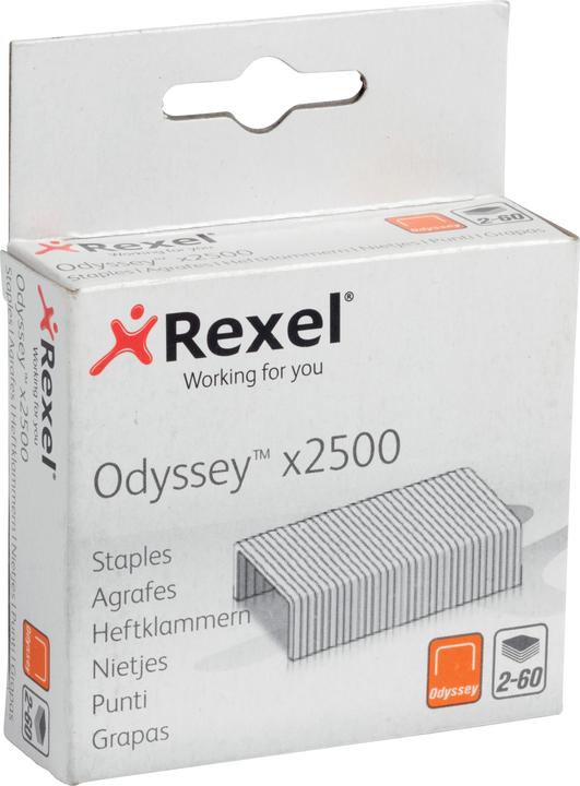 Image du produit Rexel Agrafes (2500 x)